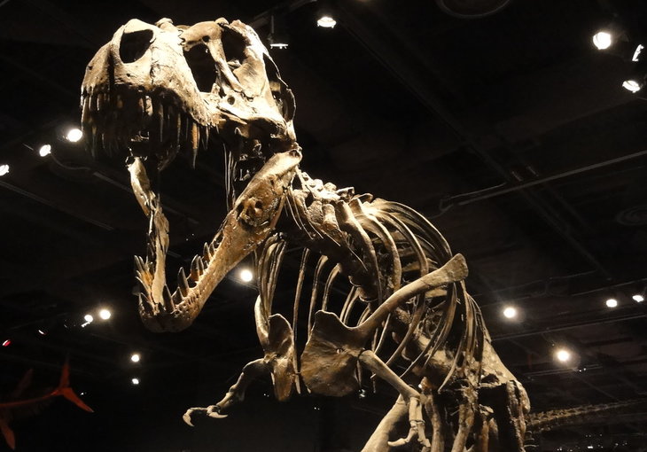 Orlando science center
