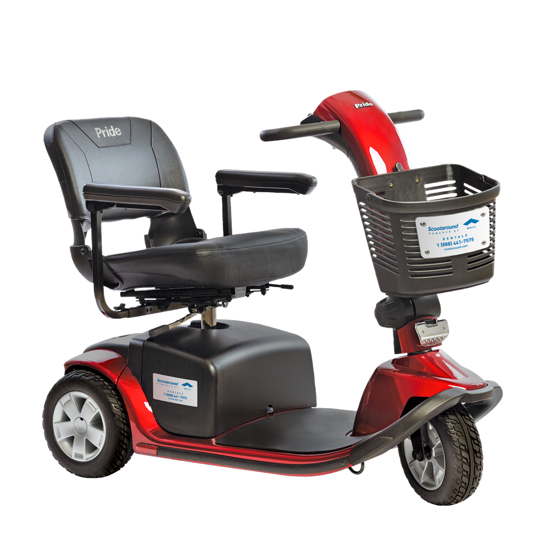 Scooter - Large